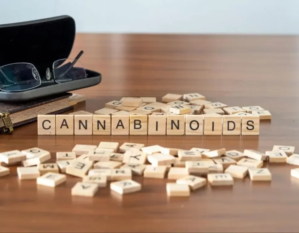 intro cannabinoids 1 1024x768.jpg